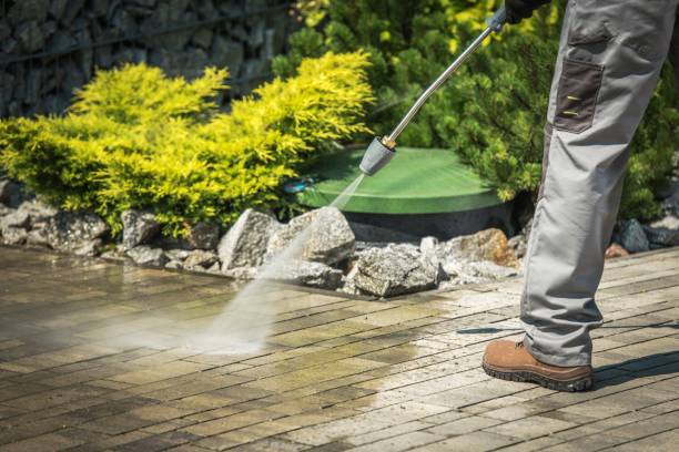 Best Driveway Pressure Washing  in Petaluma, CA